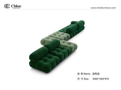 变色龙 Chameleon